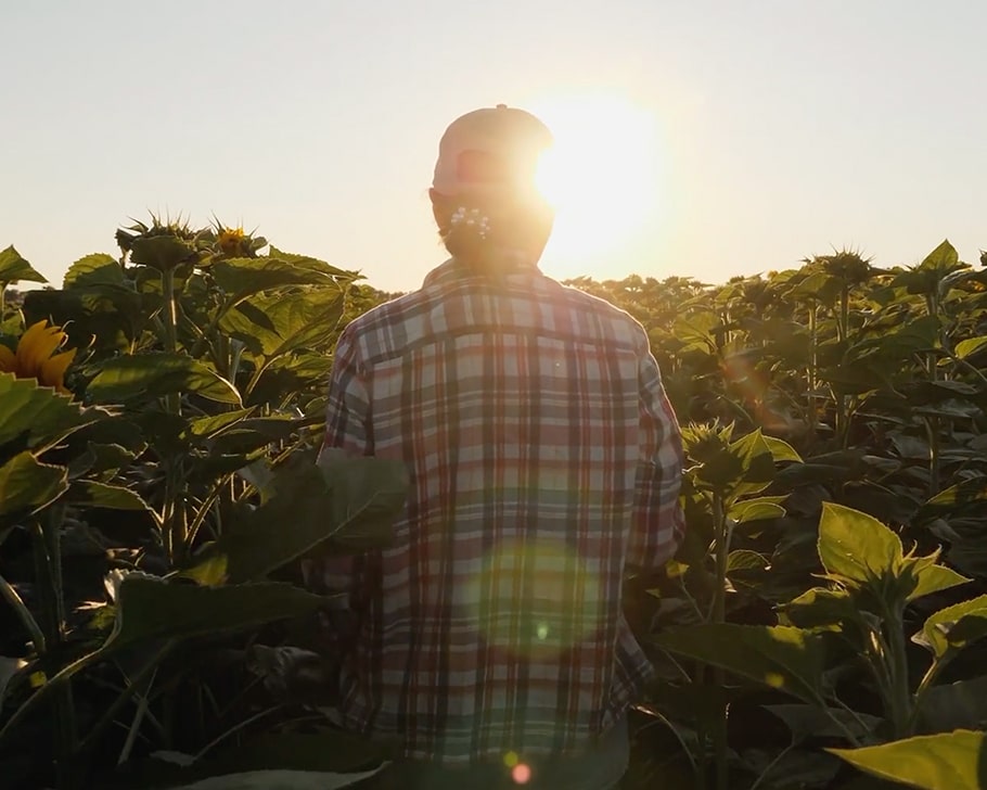 Agriculteur de dos dans son champs